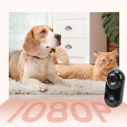 1080P Cat Collar Camera Pet Sport Camera with Back Clip Case Strap Indoor O